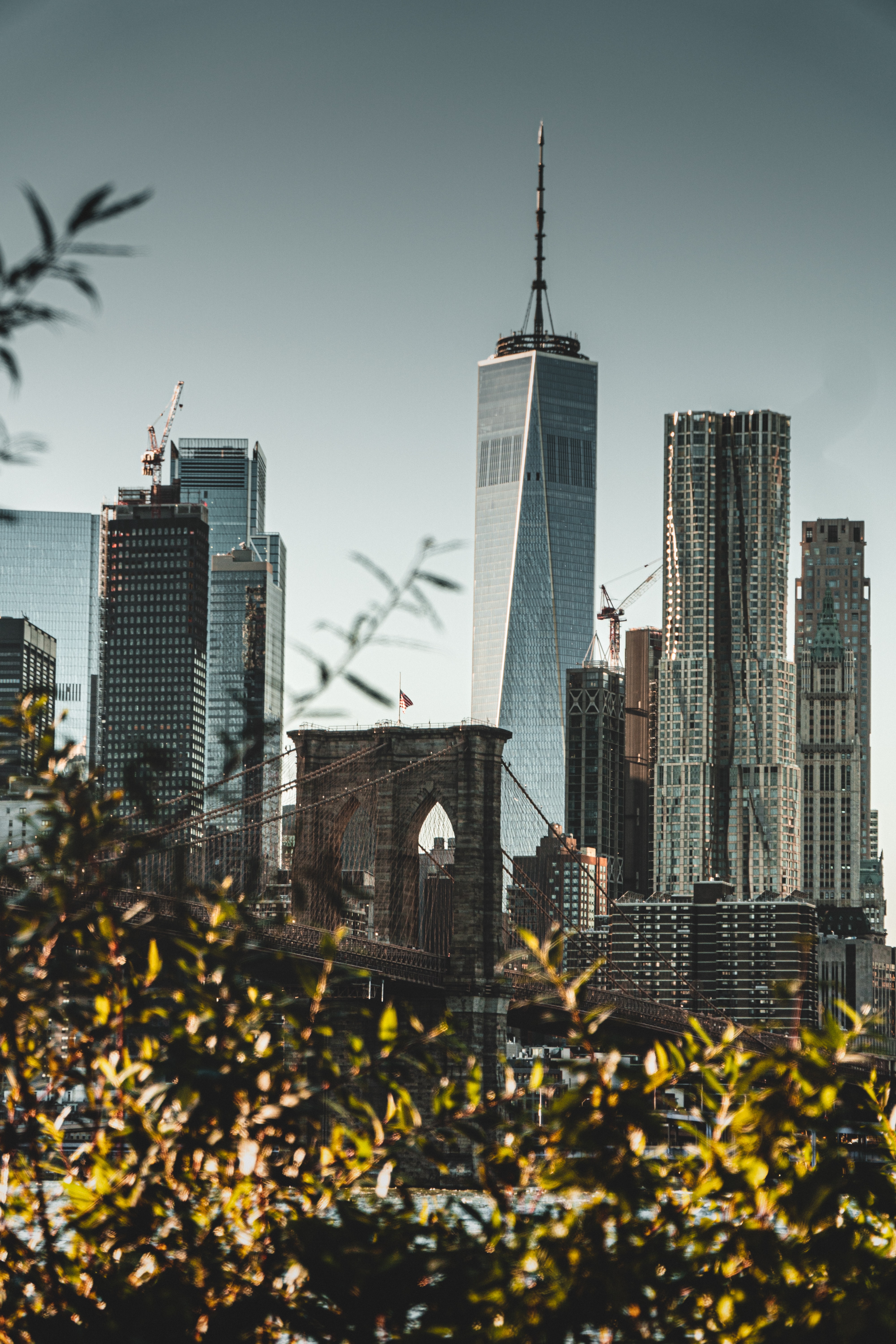 Photo of downtown Manhattan